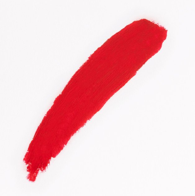 Color Riche Satin Iamge3 Lipstick Is Not A Yes